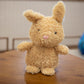 Adorable Farm Plush Animals – Soft, Cuddly & Perfect for All Ages!
