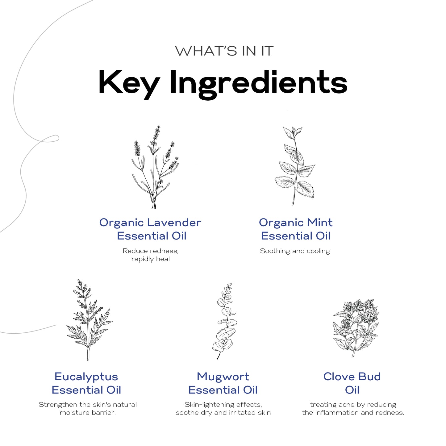 [All natural before&after bug bite] Bye itchy Balm