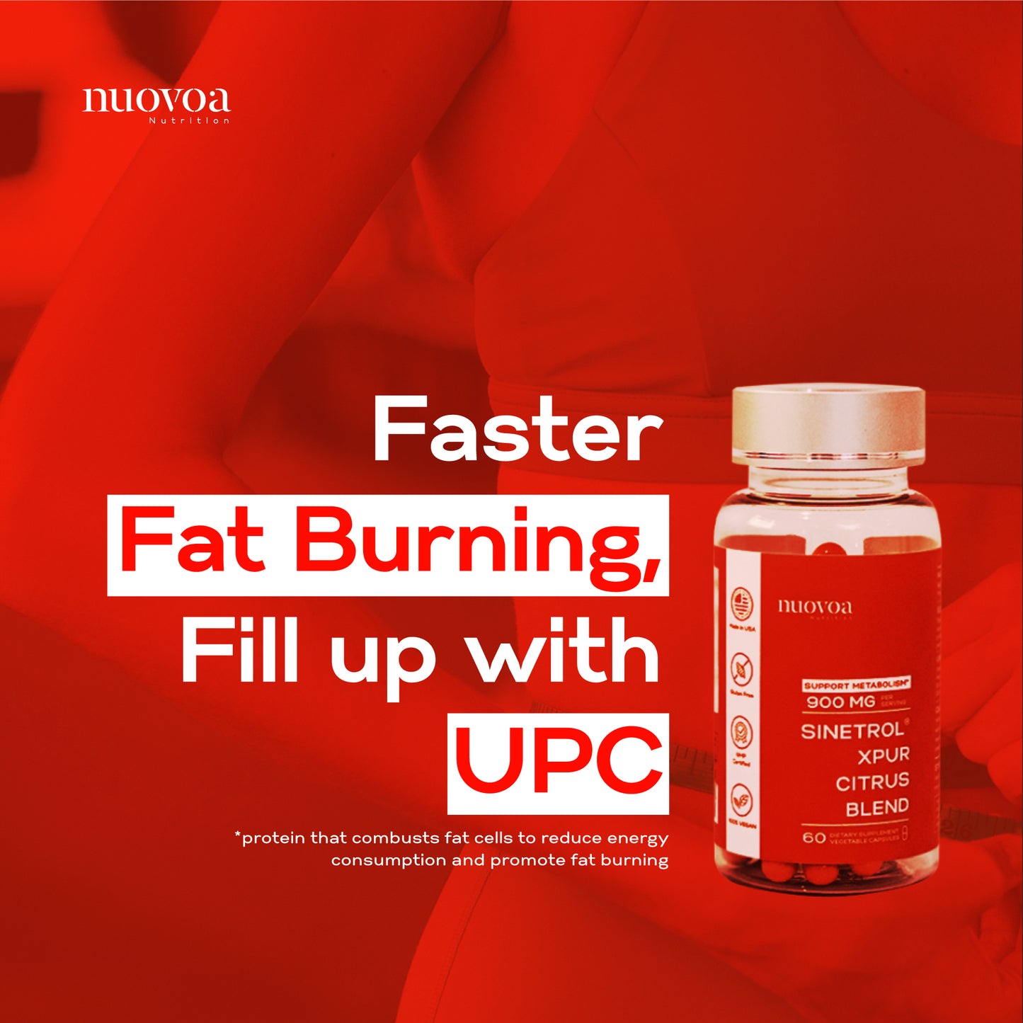 [Fat burning Sinetrol®-XPur] Sinetrol 900mg