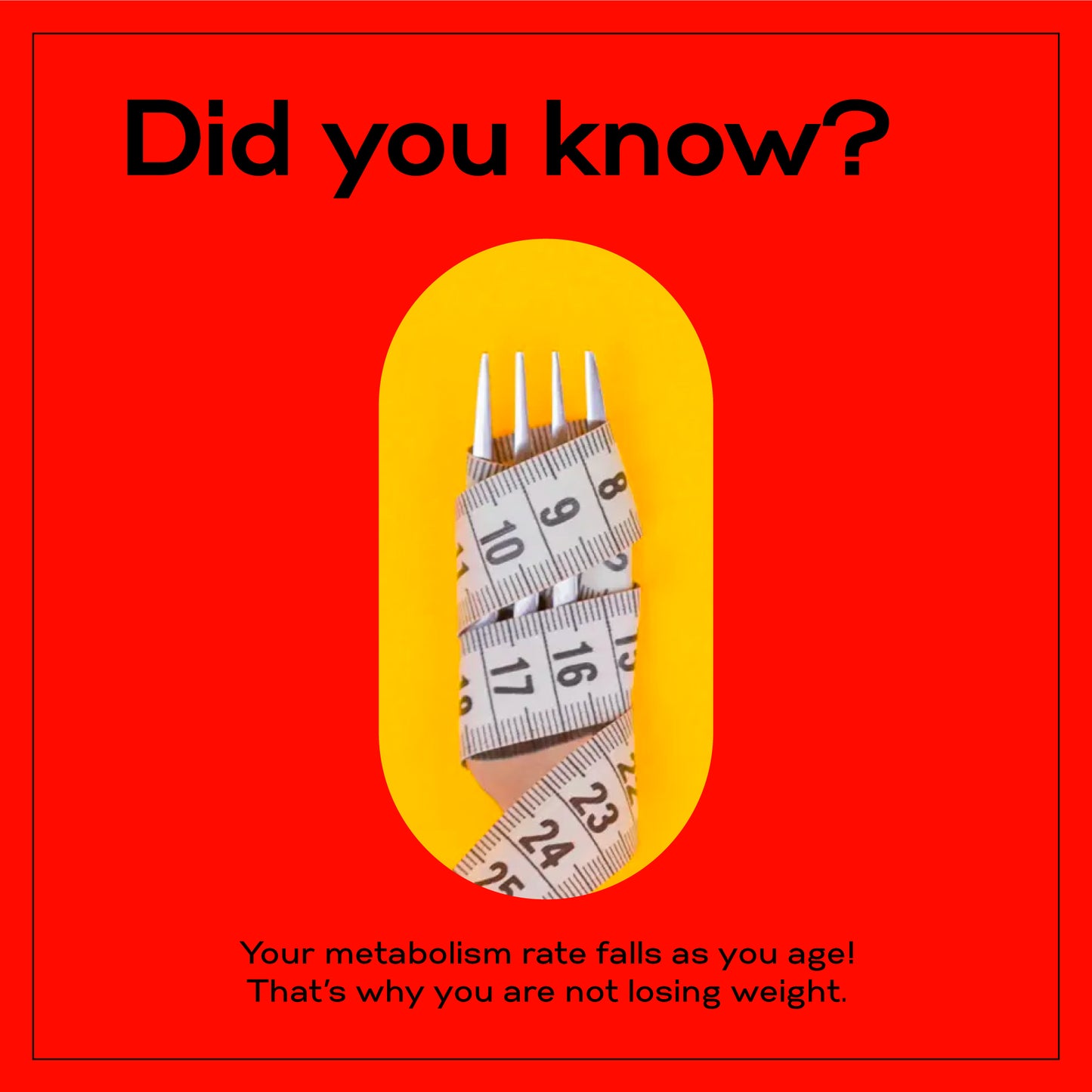 [Fat burning Sinetrol®-XPur] Sinetrol 900mg