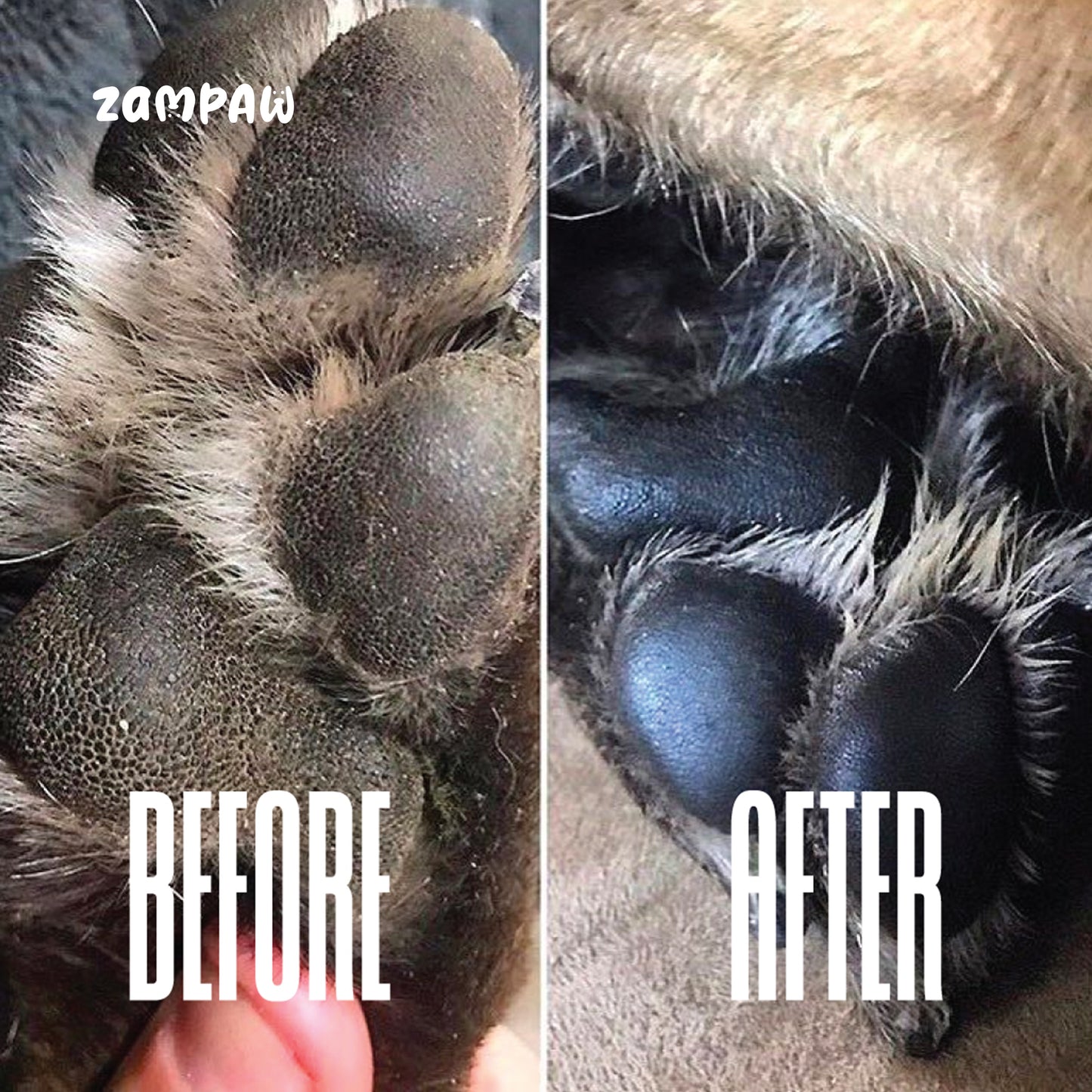 [Pet massage Oil] Dog&Cat - Mango oil, Vitamin E