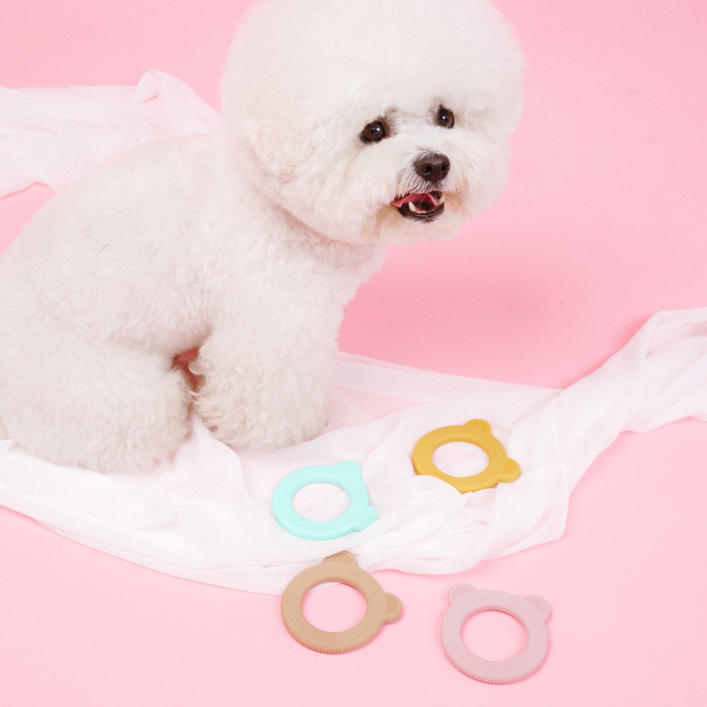 Pet Bear Dental Teething Ring