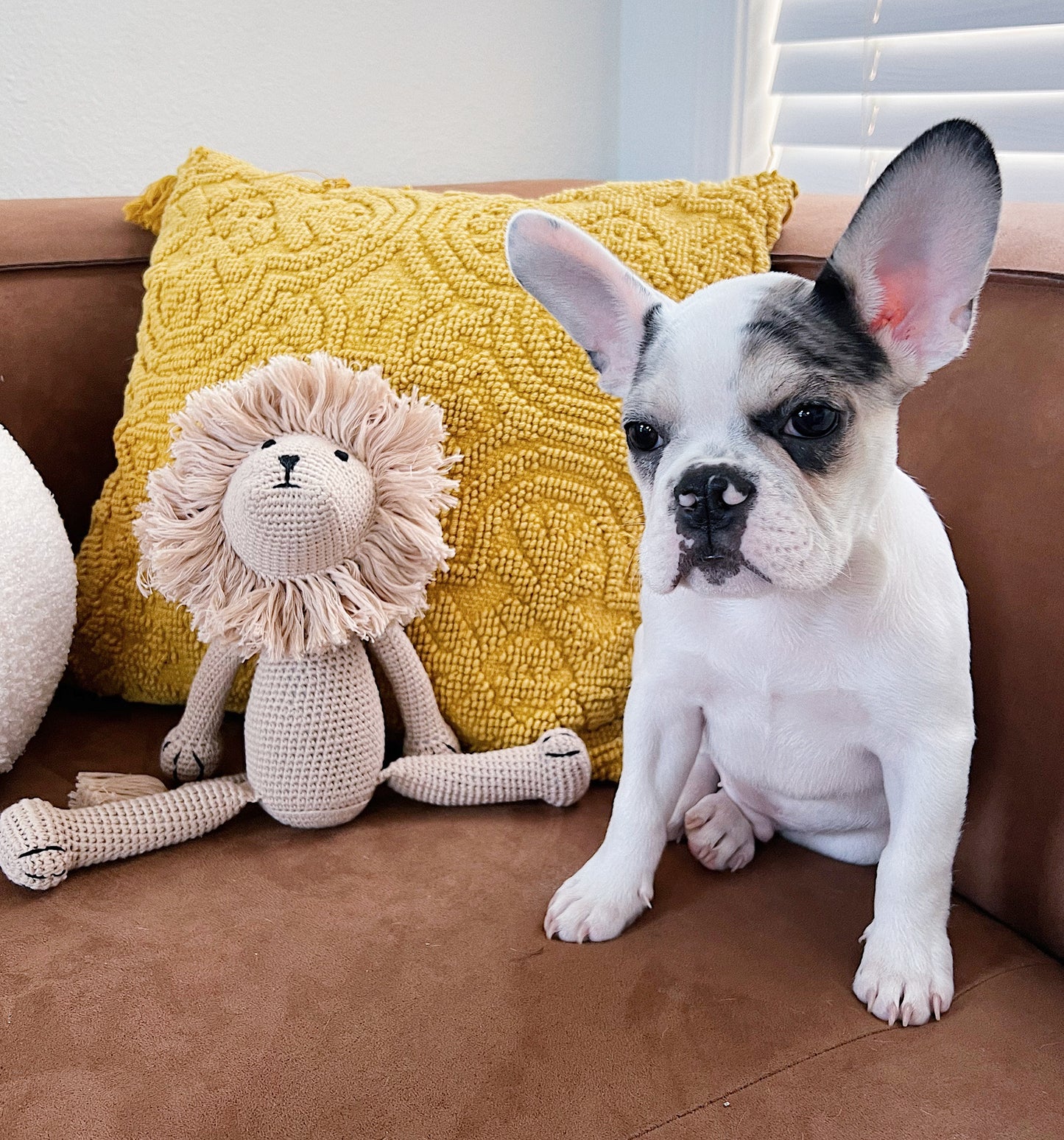 Handmade Crochet Toy, Lion